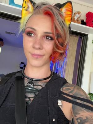 A post by @skylarcalico on TikTok caption: Entering my dance moms era with Inkblot. #cat #catshow #catshows #showcat #dancemoms #dancemom #bestinshow #householdpets #mixedbreed #fyp #fypage 