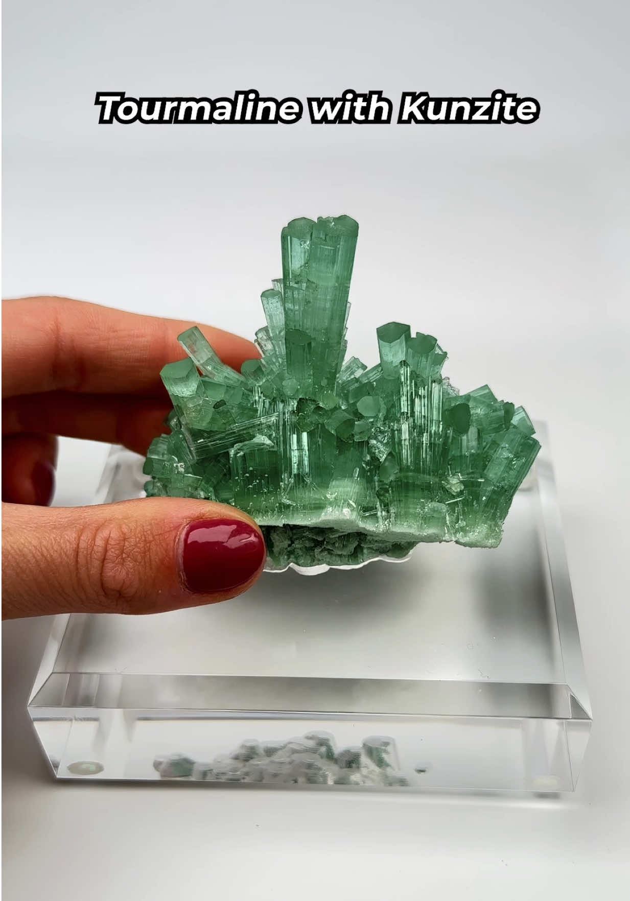 A post by @rocksforthespiritt on TikTok caption: 💎8 New Crystals on Custom Bases💎 We recently started making custom acrylic stands for special crystals in our collection and while the process is challenging, it is so rewarding to see them fit into their base so perfectly—especially when they couldn’t stand by themselves otherwise! All of these beautiful crystals are apart of our new Spring Collection on our site!!✨ Which one would you choose for your collection?💎