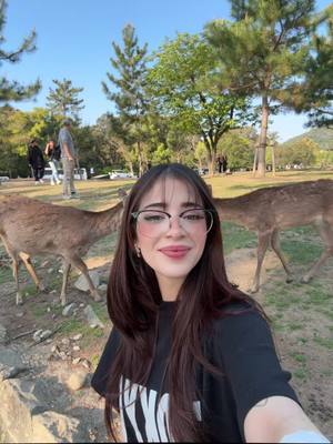 A post by @iamferv on TikTok caption: hasta los venados tienen más vida amorosa que yo 😔