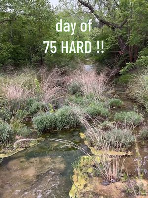 A post by @monetmcmichael on TikTok caption: here’s what i do during a day of the 75 hard challenge 👀💕 i can’t believe we’re more than halfway DONEEE OMG. let’s spend a day together!! 
