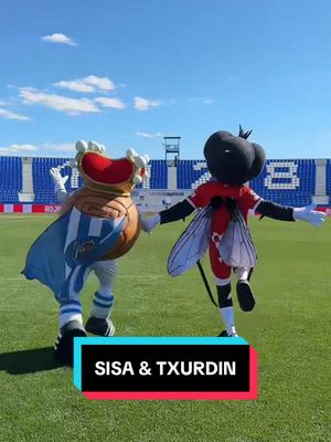 A post by @gironafc on TikTok caption: 💃 @Real Sociedad #laligadelasmascotas #LALIGA 