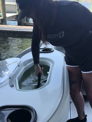 A post by @britttareco on TikTok caption: Do you use live bait or dead bait? #fishwithbrit #brittanytareco #fyp @Hookd Charters 