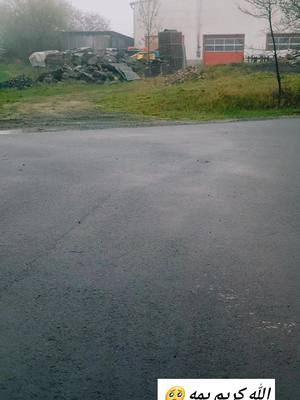 A post by @dewooddewood0 on TikTok