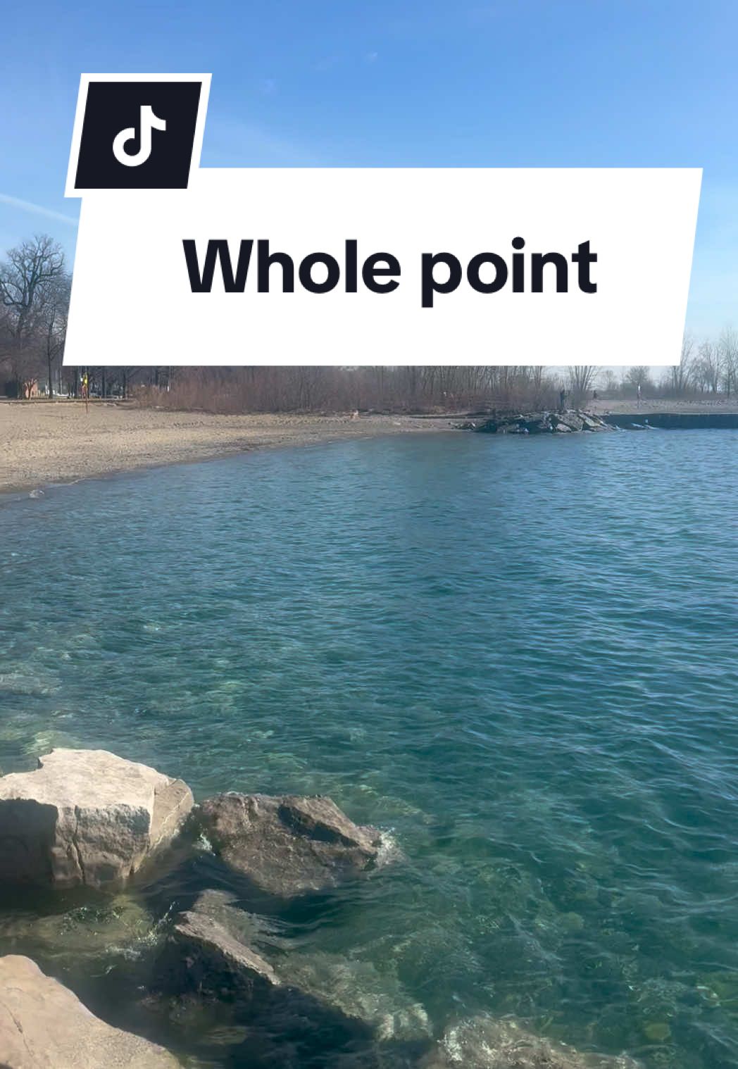 A post by @vivaciousgourmet on TikTok caption: Daily advise: Move close to a beach or water and I swear it will cure 99% of your problems. 🌊 #divinetiming #water #trendingaudio #trendingvideo #torontobeaches #beachvibes #takemyadvice #takemyhand