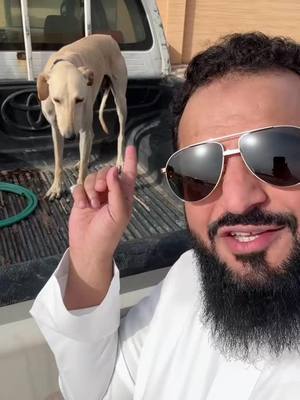 A post by @abojody99 on TikTok caption: #اكسبلور #كلاب #explore #dog 