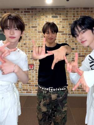 A post by @weareone.exo_official on TikTok caption: Wait On Me With #신유 #도훈 🩶 #KAI #카이  #EXO #엑소 #weareoneEXO #SHINYU #DOHOON  #TWS #투어스  #WaitOnMe #KAI_WaitOnMe