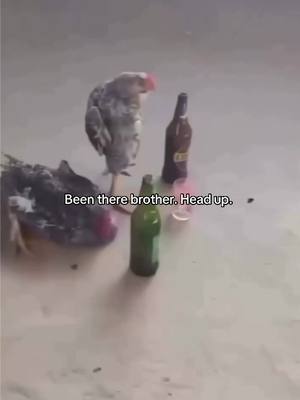 A post by @richii250 on TikTok caption: Bro caught his ol lady in another coop. Smh  #fyp #relatable 