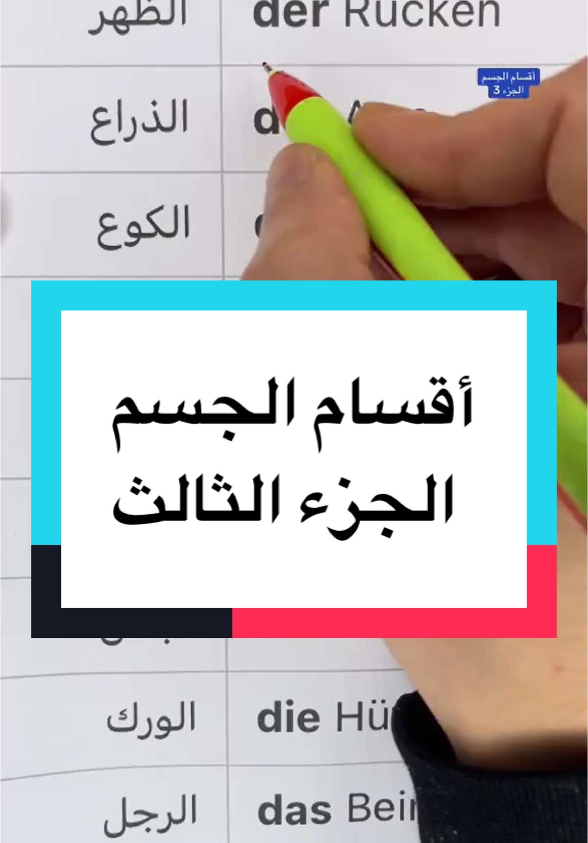 A post by @arabisch.deutsch1 on TikTok caption: ‏ تعلم أسماء أقسام الجسم عند الإنسان باللغة الألمانية #مصطلحات_المانية #كلمات_المانية #تعلم_اللغة 
