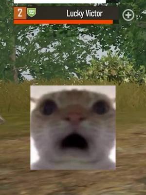 A post by @pubgm_mena on TikTok caption: أنا على وشك الإخلاء بنجاح! #ببجي_موبايل #ببجي #PUBG #pubgmobile 