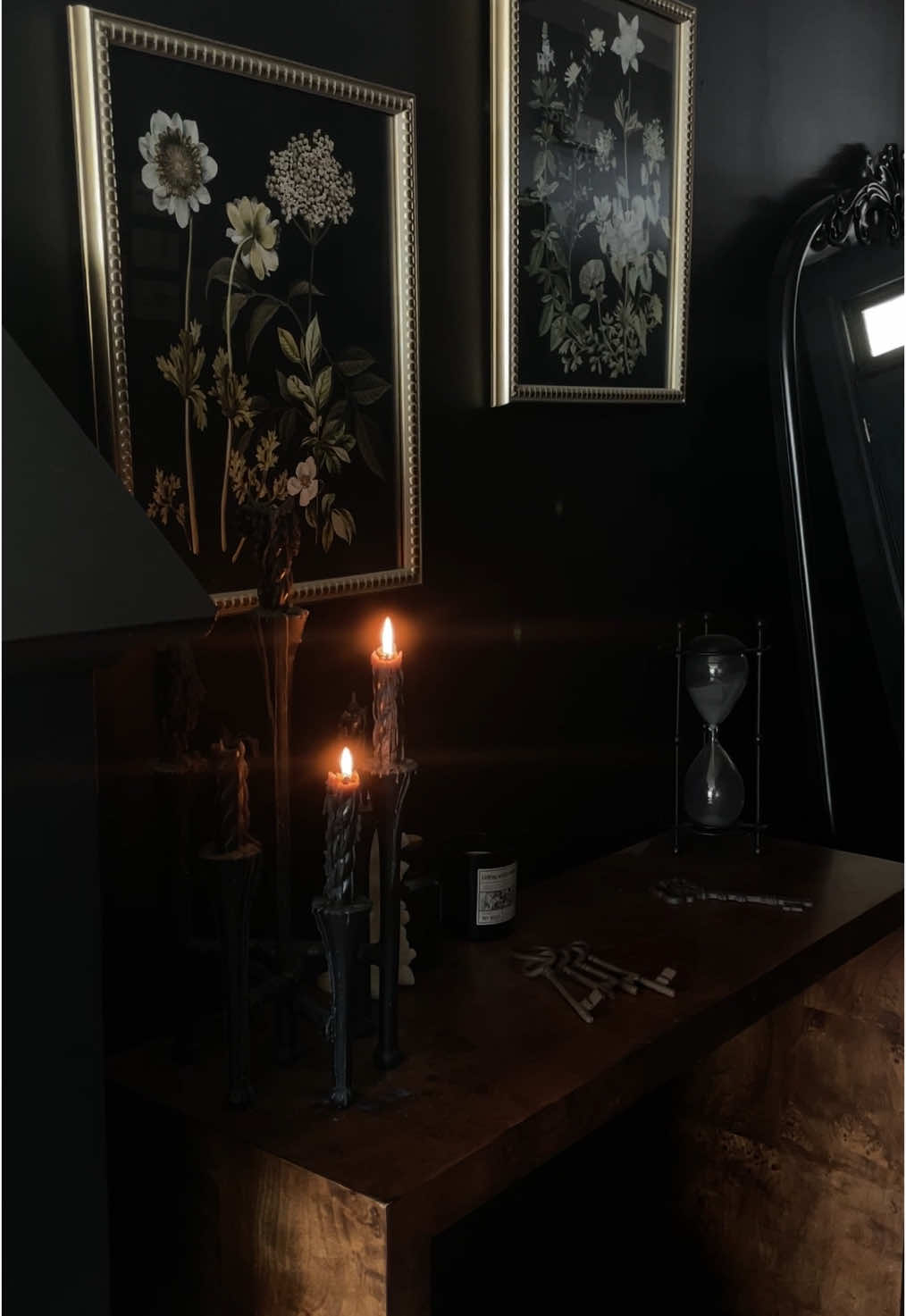 A post by @kcallanott on TikTok caption: 📖 #homeinterior #darkacademia #bookworm #gothichome #homedecor #blackwalls #booklover #darkaesthetic #readersoftiktok #darkinterior #gothicdecor #cozyathome 