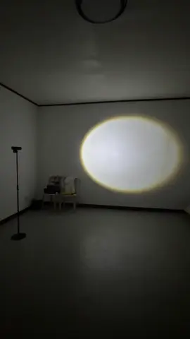 A post by @boomshadowace on TikTok caption: We have a Disco at home! 😂🕺🪩💃 @Zerb #shadowace #fyp #viral 