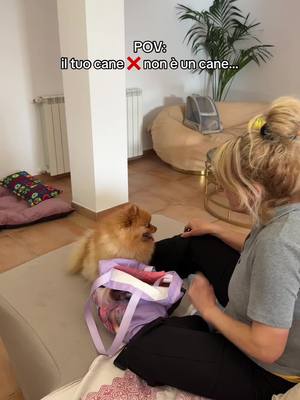 A post by @elenahazinah on TikTok caption: E proprio una viziata 