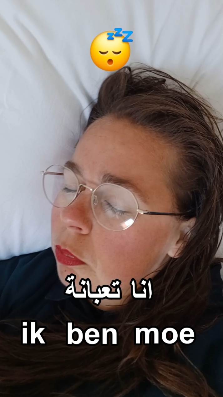 A post by @dutch_arabic_club on TikTok caption: #تعلم_هولندية #هولندا #النادي_الهولندي_العربي #تعلم #nederlands 