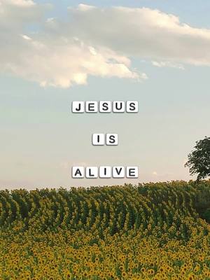 A post by @elevatedfaith on TikTok caption: “For we know that since Christ was raised from the dead, he cannot die again; death no longer has mastery over him.” -Romans 6:9
