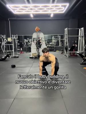 A post by @uncledannylifts on TikTok caption: Come mi immagino markour per strada 😭😭😭