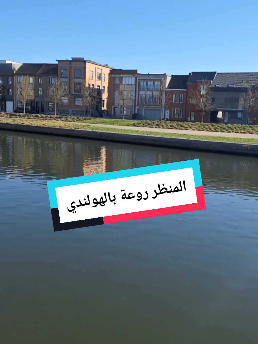 A post by @elias.school on TikTok caption: المنظر روعة بالهولندي  #تعلم_الهولندية #تعلم_اللغة_الهولندية #اللغة_الهولندية #كلمات_هولندية #جمل_هولندية #تعلم_لغات #تعلم_الهولندية_للمبتدئين #دورة_هولندية #هولندا #هولندا_بالعربي #nederlands #learndutch #dutchlanguage #learningdutch #nederlandsleren #dutchforbeginners #taaltraining 