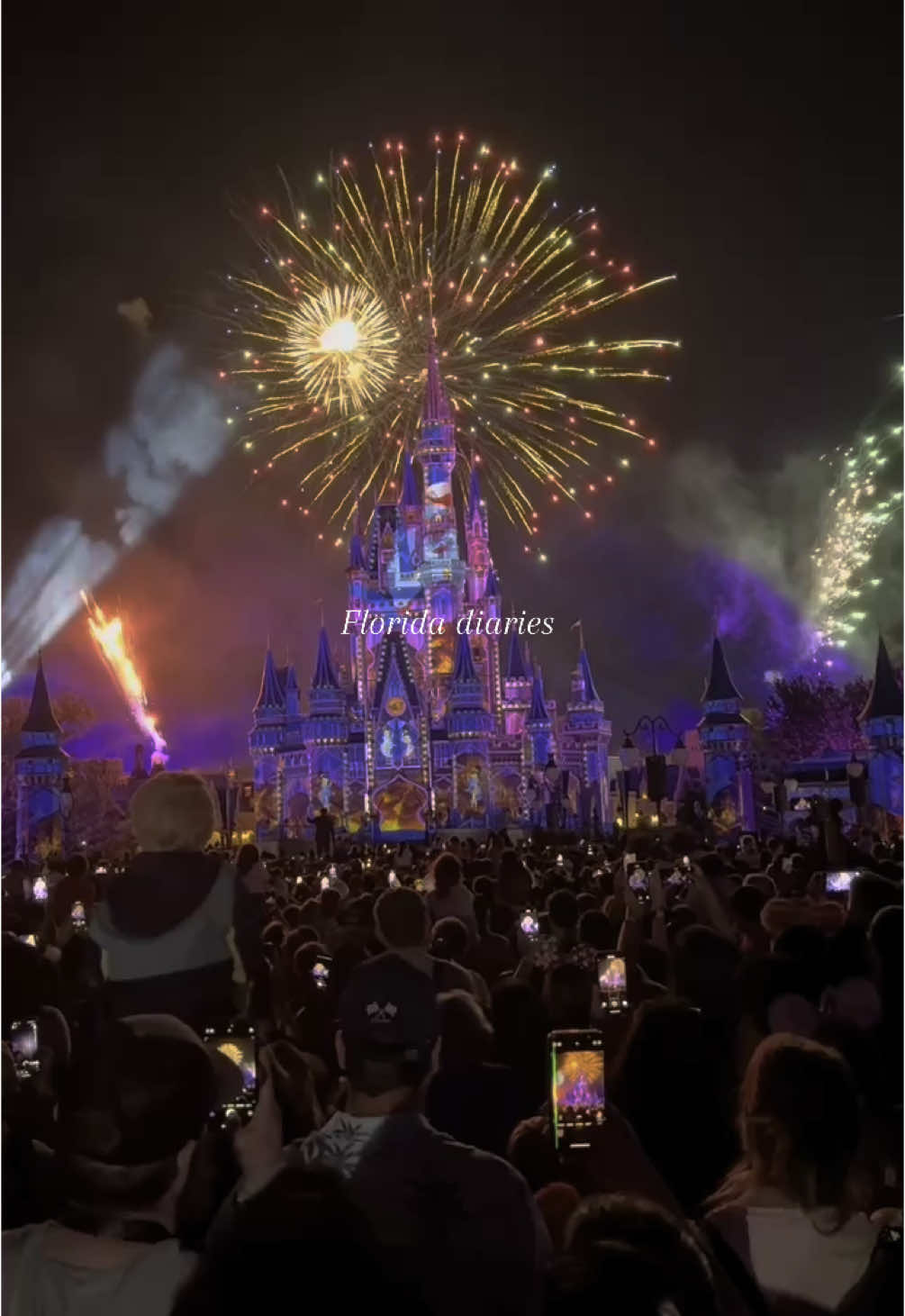 A post by @meg.angelhart on TikTok caption: Memories ✨ #CapCut  #magiefondvert #foryou #fyp #foryoupage #pourtoi #pourtoipage #love #travel #florida #waltdisneyworld #miami #miamibeach 