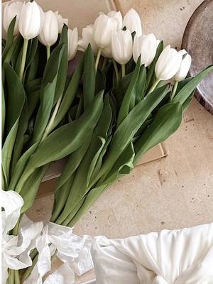 A post by @nabela on TikTok caption: generational beauty rituals gifted to the women who shaped our family, my mother & mother-in-law 🤍🌿 what better way to celebrate motherhood & self-care than with @OSEA Malibu and their curated gift sets. shop yours today and use code nabelanoor10 for 10% off 🧖🏽‍♀️ #OSEApartner