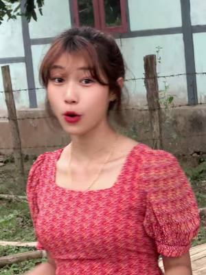 A post by @sengpan6335 on TikTok