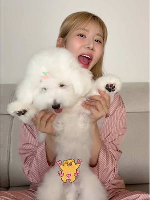 A post by @sia_jiwoo on TikTok caption: 🐶 My Butter_