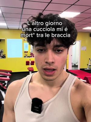 A post by @nacciflex on TikTok
