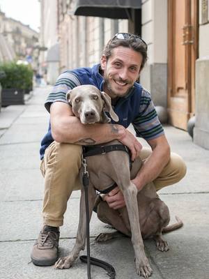 A post by @doggodaiily on TikTok caption: Cara🩶🥰 , #caniditorino #weimaraner #braccodiweimar