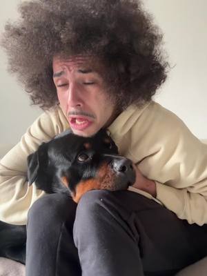 A post by @chamseddinee on TikTok caption: J’suis dans le Doglov 