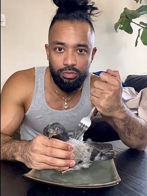 A post by @princezee on TikTok caption: i deep fried my baby pigeon