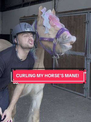 A post by @demirtopzz on TikTok caption: A PRINCESS PONY!?😱🐴 #fyp #foryou #foryoupagе #equestrian #equestrianlife #horsegirl #horseboy #equestrianvibes #equine #CapCut 