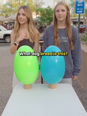 A post by @extramediummedia on TikTok caption: Would you have won? #trivia #triviachallenge #questions #triviagame #extramedium #michigan #tiktokUS   