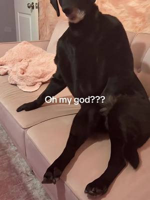 A post by @joolieannie on TikTok caption: #fyp 
