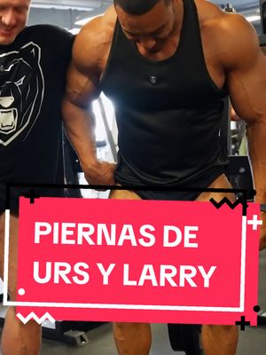 A post by @gorrinofuerte on TikTok caption: Se quedó pequeño Larry? #gym #fitness #bodybuilding #culturismo 