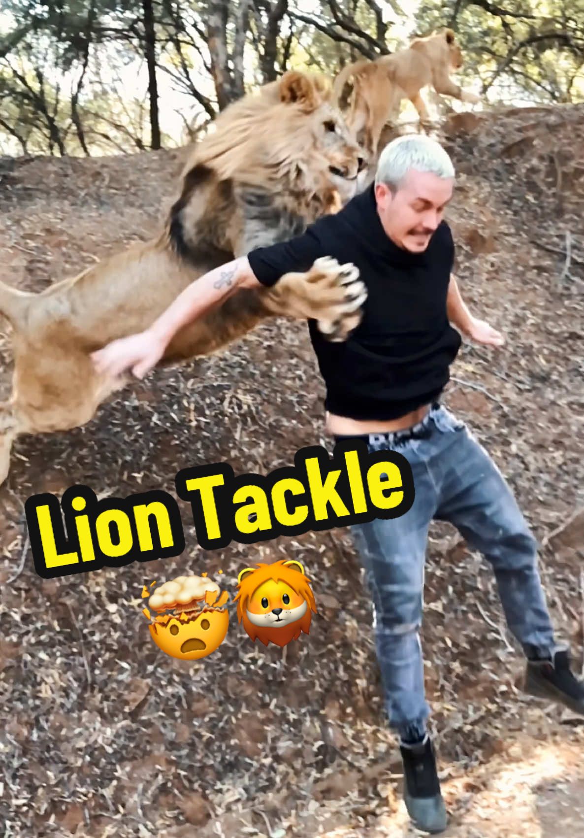 A post by @deanschneider.official on TikTok caption: Caption This!🦁