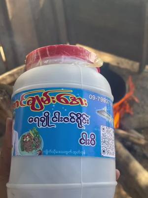 A post by @aungchanaye on TikTok caption: ေအာင္ခ်မ္းေအး ငပိကဆိုရင္ နာမည္ႀကီးတာက အရမ္းကို စားေကာင္းလို လူတိုင္ႀကိဳက္တလိုေပါ့ ✌️❤️