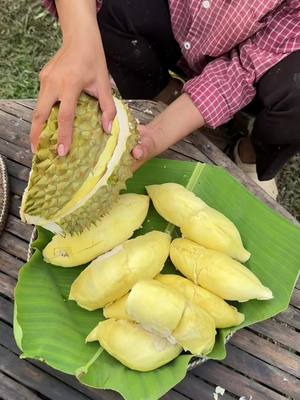 A post by @chhomsreypach on TikTok caption: ធុរេនបាយដំណើបស្រូបទឹកខ្ទិះ