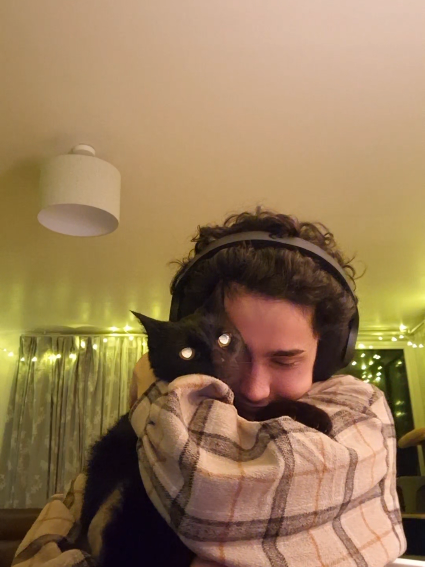 A post by @whataboutandy on TikTok caption: i still haven't cleaned away your cat bed