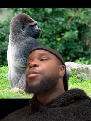 A post by @sonny_spam05 on TikTok caption: #devinelapersonne En ce moment tiktok c’est le prime de l’abus 
