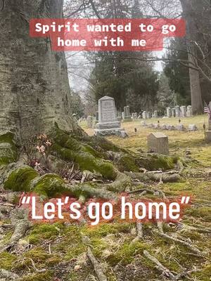 A post by @santaparanormal on TikTok caption: Spirit wanted to come home with me and one decided to get nasty #tiktoklive #livehighlights #ghost #spiritbox #paranormal #cemetery 