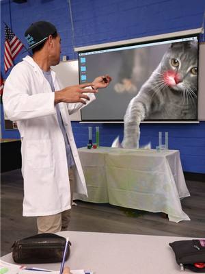 A post by @zachking on TikTok caption: Bring your Pet to Work Day #catsoftiktok 