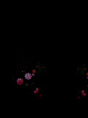 A post by @topshablon on TikTok caption: Чтобы маму с папой #шаблон #футаж #CapCut 