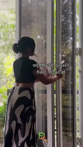 A post by @bandifull on TikTok caption: හදිස්සියේම යාලුවෝ එනවා කිව්වොත් 🤩 Mutton Biryani #biryani #foryou #srilankan_tik_tok🇱🇰 #bandifull 