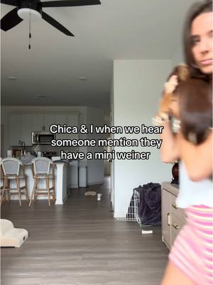 A post by @izzyoller on TikTok caption: We need to start a dachshund meetup for all the weenie parents here