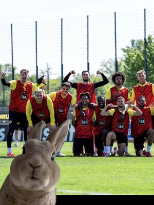 A post by @bvb on TikTok caption: 👐🐰🛶 @Zsá Zsá 