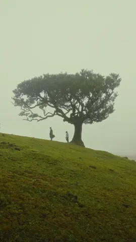 A post by @jondrafilms on TikTok