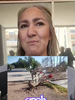 A post by @crealanoticia on TikTok caption: 🌳👥 Quitan árbol de los desaparecidos en la Plaza de los 3 Poderes en Mexicali El árbol de la esperanza, símbolo de lucha por los desaparecidos en Mexicali, fue hallado en el suelo este martes en la Plaza de los Tres Poderes. Al inicio se pensó que había sido retirado por autoridades, pero el Ayuntamiento aclaró que colapsó durante los fuertes vientos nocturnos, ya que estaba seco. La estructura sostenía fotografías, moños y fichas de búsqueda colocadas por diversos colectivos. Todo el material fue resguardado, aseguró el municipio. Sin embargo, para familias y buscadoras, el hecho no pasó desapercibido. “¿Quién lo quitó? ¿A quién le estorba?”, cuestionó Juan Gonzalo Moreno, de la Célula de Búsqueda. Además en él se encontraba un buzón del perdón, para que si tienen información de algn desaparecido lo hagan llegar de forma anónima, depositándola ahí.