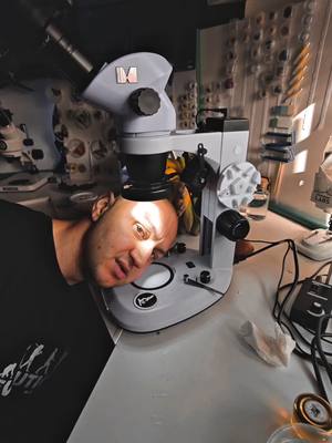 A post by @mir_glazami_microscopa on TikTok caption: I USE 🔬 MAGUS STEREO 7B link in my bio #LEVENHUK 