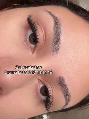 A post by @eyeshinecosmetics on TikTok caption: Drama set #dramalash #cateyelashes 