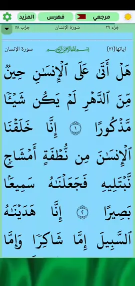 A post by @omarnordiin83 on TikTok caption: #قران_كريم #سورة_الانسان #بصوت_القارئ #غسان_الشوربجي #puran #اكسبلورexplore 