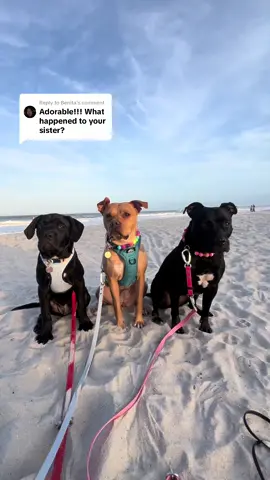 A post by @ on TikTok caption: Replying to @Benita everyone skips the videos she is in and ask for her in the next one 😭😭