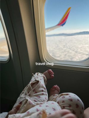 A post by @emilyfranciswheaton on TikTok caption: baby sis slept from the second I put her in the carrier at the airport until we were landing in LA 😭 baby angel girl!!! #travelhacks #travelessentials #newborntravel #newborn @Artipoppe @bugaboousa @MAM Baby @away @Proper Hotels @FP Movement 